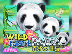 Wild Giant Panda game thumbnail